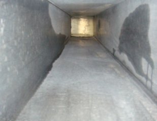 ���͟��ܵ���ϴ��ʲô�˜� ��